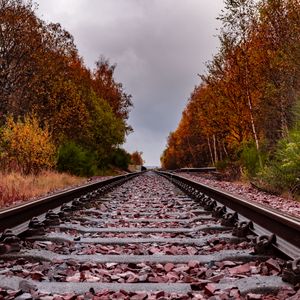 Preview wallpaper railway, rails, trees, autumn, landscape