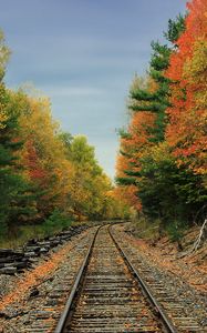 Preview wallpaper railway, road, forest, trees, autumn