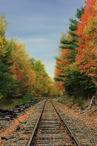 Preview wallpaper railway, road, forest, trees, autumn