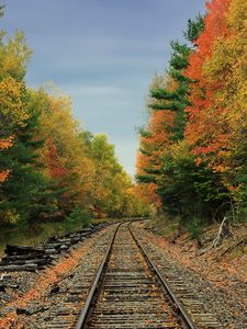 Preview wallpaper railway, road, forest, trees, autumn