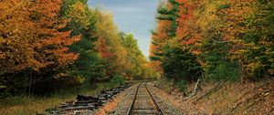 Preview wallpaper railway, road, forest, trees, autumn