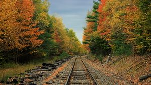 Preview wallpaper railway, road, forest, trees, autumn