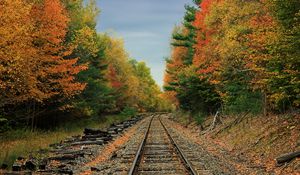 Preview wallpaper railway, road, forest, trees, autumn