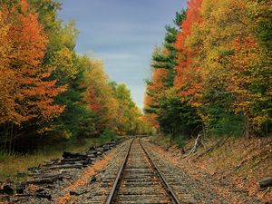 Preview wallpaper railway, road, forest, trees, autumn