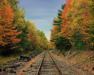 Preview wallpaper railway, road, forest, trees, autumn