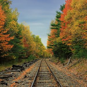 Preview wallpaper railway, road, forest, trees, autumn