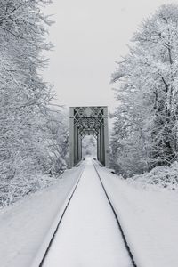 Preview wallpaper railway, snow, bridge, trees, winter