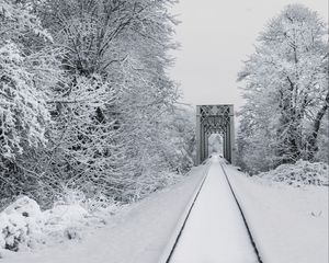 Preview wallpaper railway, snow, bridge, trees, winter