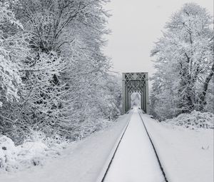 Preview wallpaper railway, snow, bridge, trees, winter