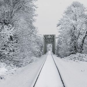 Preview wallpaper railway, snow, bridge, trees, winter