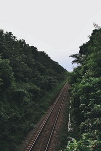 Preview wallpaper railway, trees, road