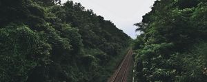 Preview wallpaper railway, trees, road