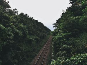 Preview wallpaper railway, trees, road