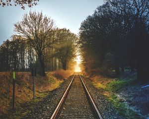 Preview wallpaper railway, trees, sunset