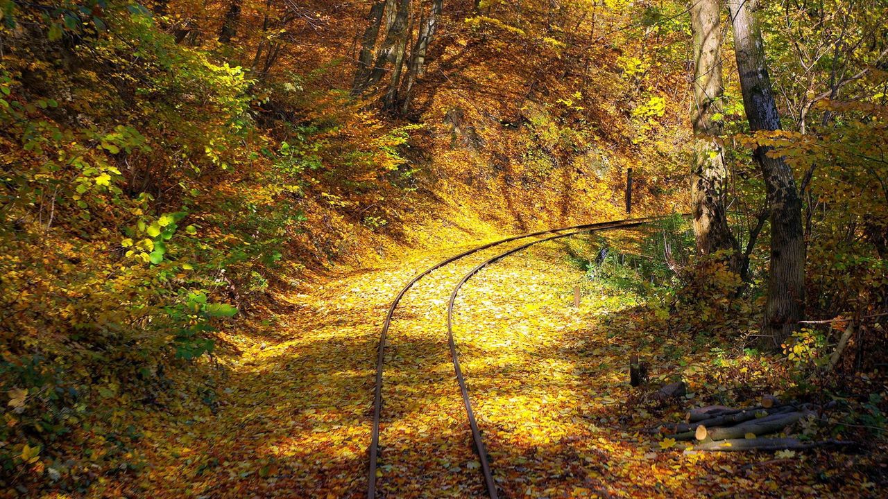Wallpaper railway, wood, leaf fall, turn, rails
