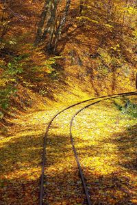 Preview wallpaper railway, wood, leaf fall, turn, rails