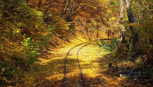 Preview wallpaper railway, wood, leaf fall, turn, rails