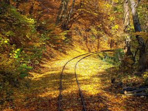 Preview wallpaper railway, wood, leaf fall, turn, rails