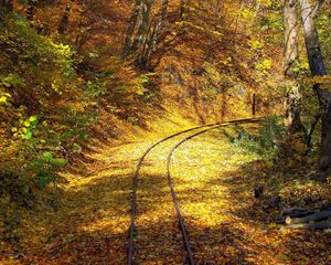 Preview wallpaper railway, wood, leaf fall, turn, rails