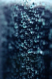 Preview wallpaper rain, bokeh, macro, drops