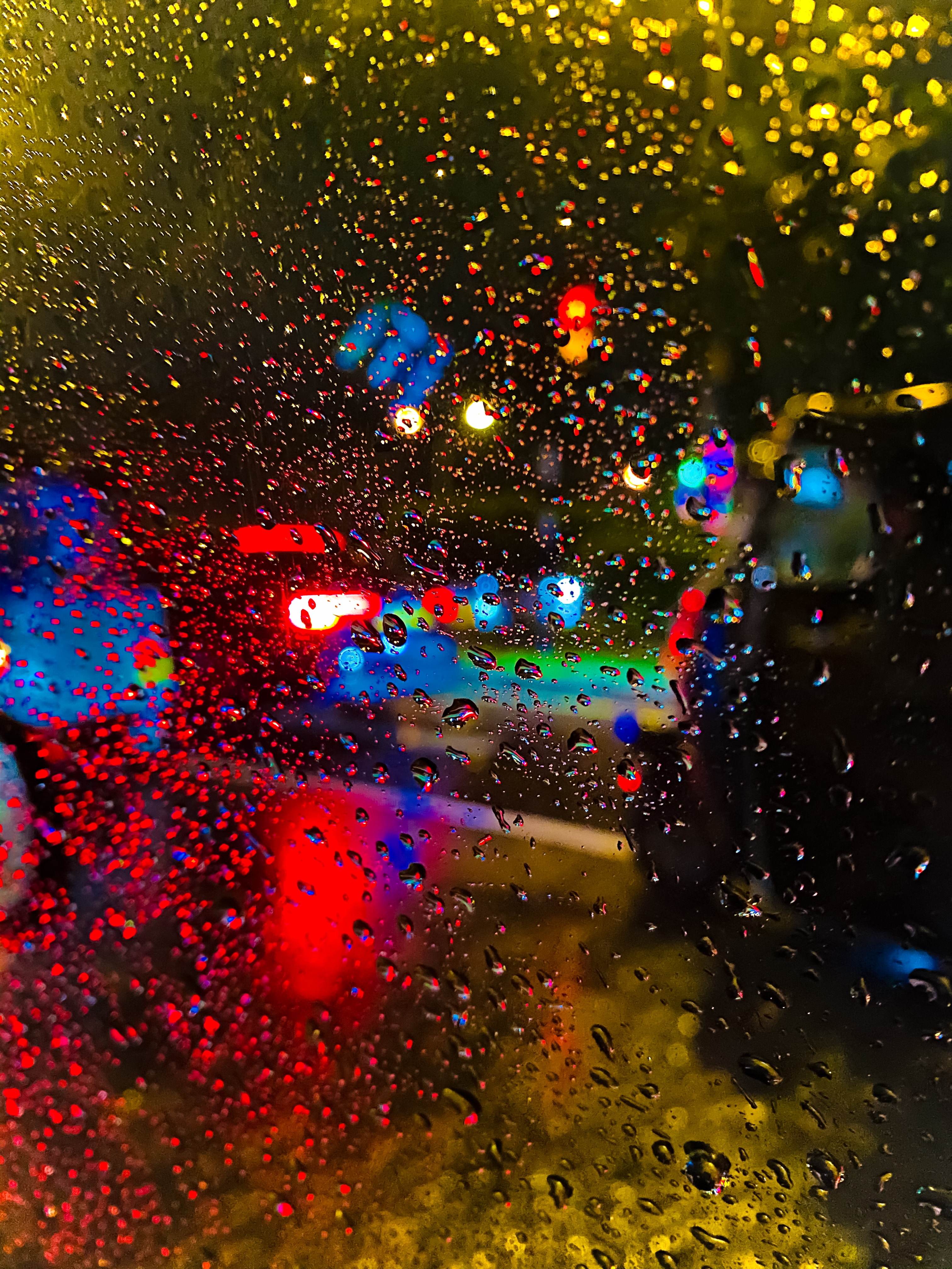 Gotas de lluvia: observe la belleza tras las gotas de lluvia en cada superficie. Aunque pueda parecer incómodo, la lluvia puede ser un momento perfecto para fotografiar la belleza única que ofrece la naturaleza. Experimente con las texturas y los reflejos y capture imágenes impresionantes que puedan emocionar los sentidos.