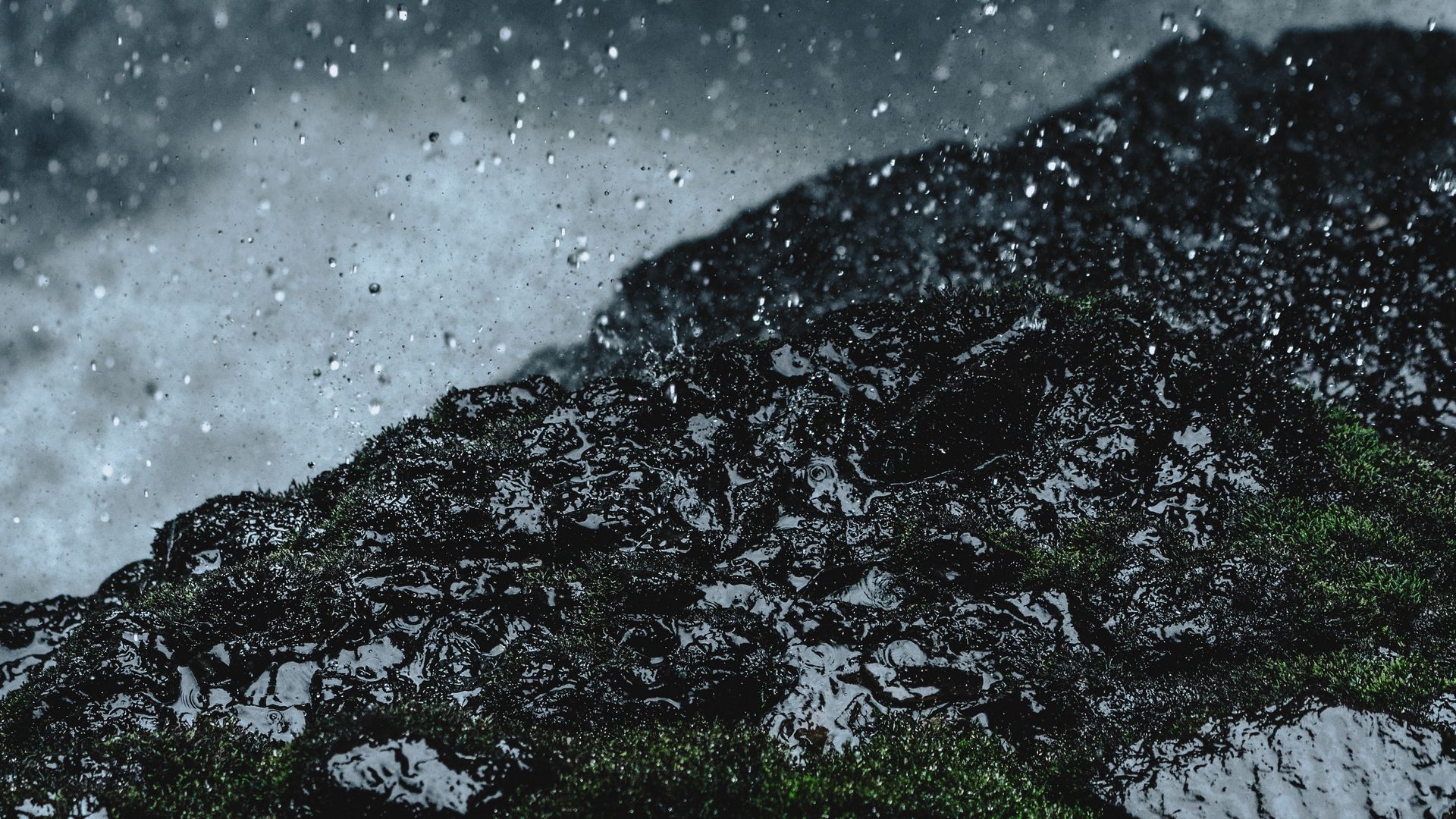 1920x1080 Wallpaper rain, drops, ground, grass, moss