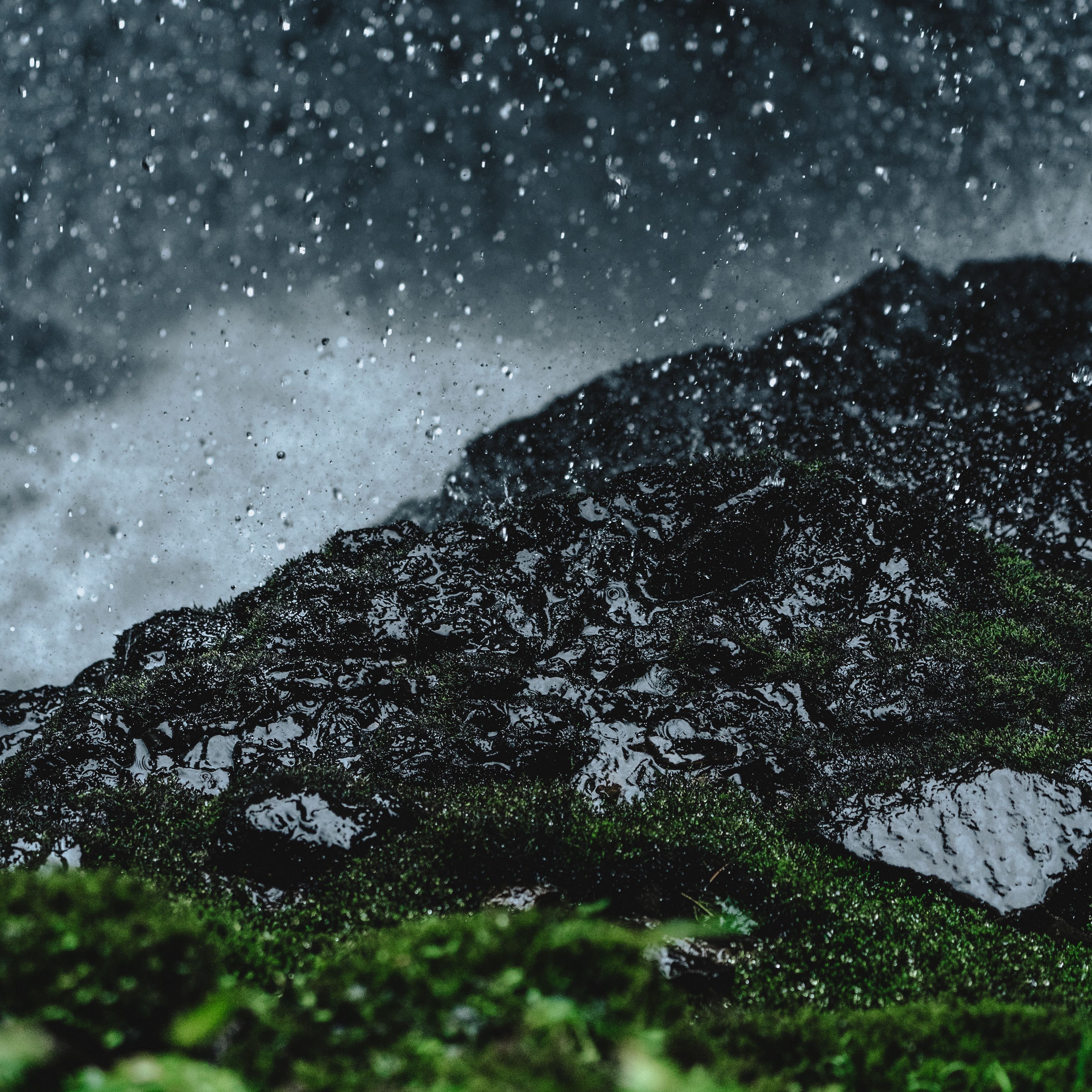 3415x3415 Wallpaper rain, drops, ground, grass, moss