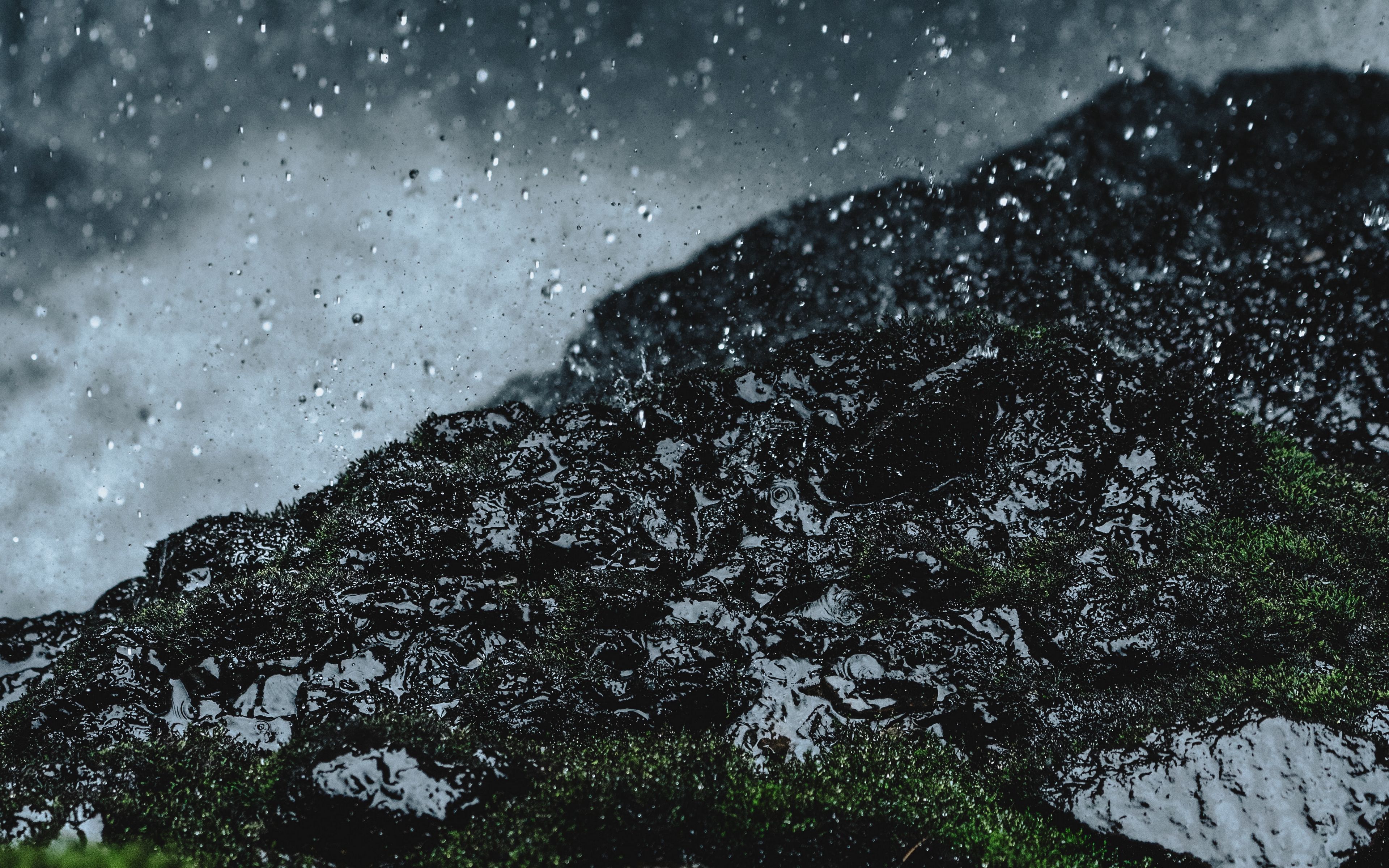 3840x2400 Wallpaper rain, drops, ground, grass, moss