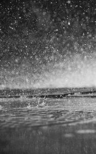 Preview wallpaper rain, drops, splashes, water, macro