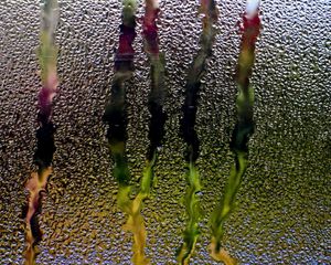 Preview wallpaper rain, glass, window, water, droplets, flow