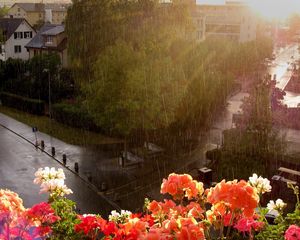 Preview wallpaper rain, heavy rain, flowers, street, balcony, height, wet