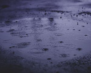 Preview wallpaper rain, puddle, water, asphalt