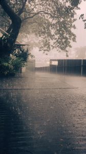 Preview wallpaper rain, street, asphalt, fence, trees, fog