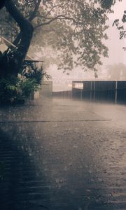 Preview wallpaper rain, street, asphalt, fence, trees, fog