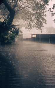 Preview wallpaper rain, street, asphalt, fence, trees, fog