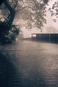 Preview wallpaper rain, street, asphalt, fence, trees, fog