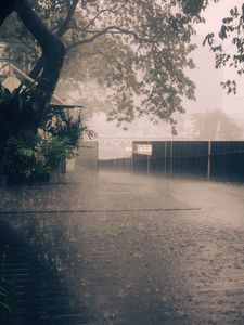 Preview wallpaper rain, street, asphalt, fence, trees, fog