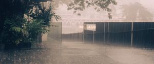 Preview wallpaper rain, street, asphalt, fence, trees, fog