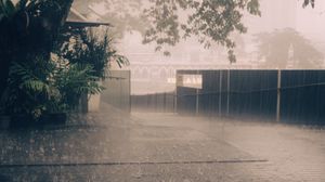 Preview wallpaper rain, street, asphalt, fence, trees, fog