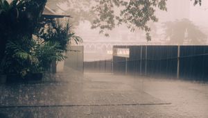 Preview wallpaper rain, street, asphalt, fence, trees, fog