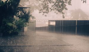 Preview wallpaper rain, street, asphalt, fence, trees, fog