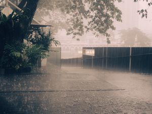 Preview wallpaper rain, street, asphalt, fence, trees, fog