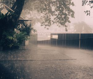 Preview wallpaper rain, street, asphalt, fence, trees, fog