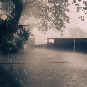 Preview wallpaper rain, street, asphalt, fence, trees, fog