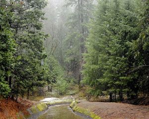 Preview wallpaper rain, wood, river, bad weather