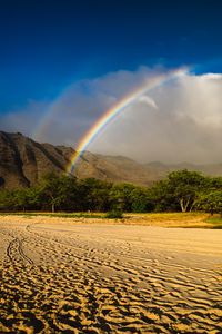 Preview wallpaper rainbow, beach, mountain, trees, sand