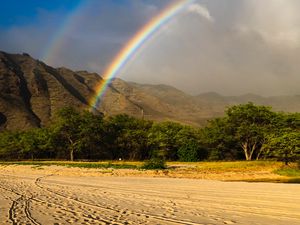 Preview wallpaper rainbow, beach, mountain, trees, sand