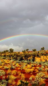 Preview wallpaper rainbow, bushes, wild west, vegetation, sand