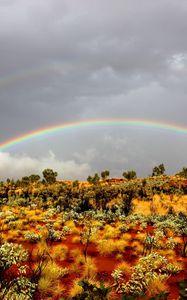 Preview wallpaper rainbow, bushes, wild west, vegetation, sand