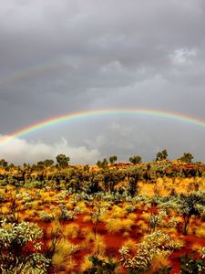 Preview wallpaper rainbow, bushes, wild west, vegetation, sand